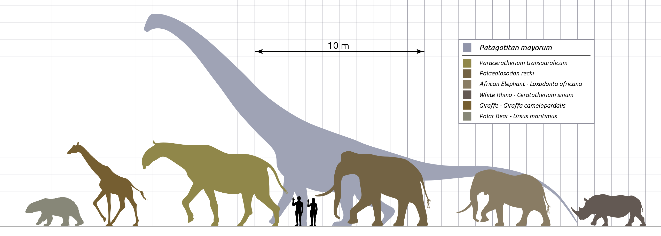 Giraffes Have High Blood Pressure EarthDate giraffes-have-high-blood-pressure-earthdate